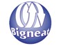 Bigneat Picture